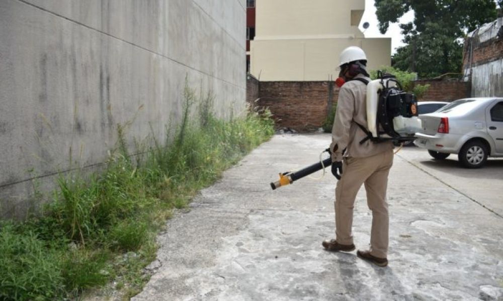 Se duplicaron los casos de dengue autóctono en la provincia
