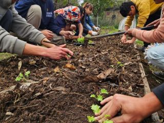 Sembrando futuros: Taller de huerta agroecológica en Cabaña Joven