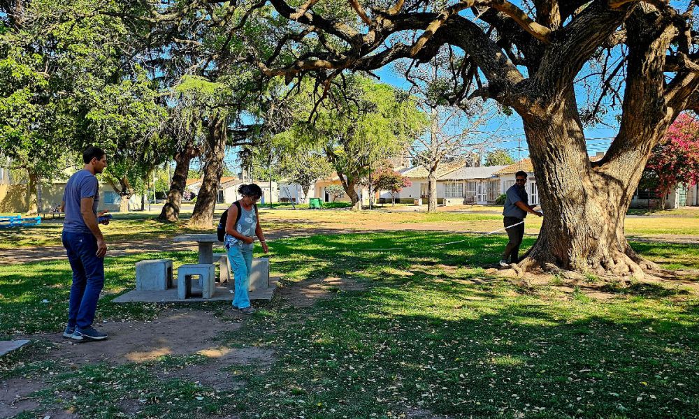 Avances tecnológicos en el Censo de Arbolado de Pergamino