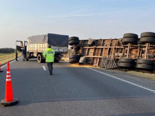 Detienen a conductor ebrio tras volcar su camin en la Ruta Nacional N9