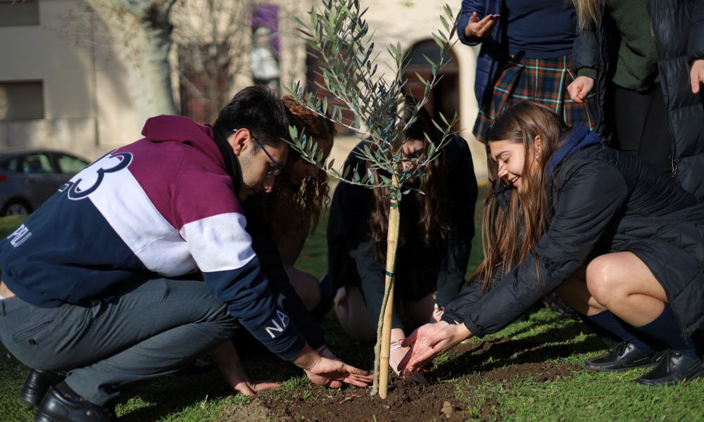 Celebración del Día Nacional del Árbol