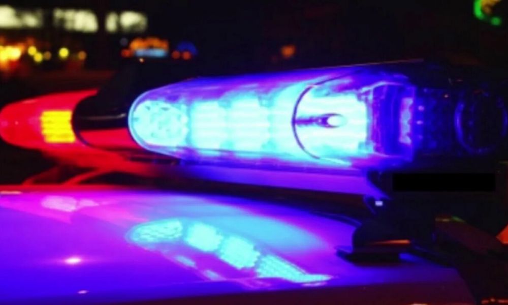 Desarticulada red de narcotráfico