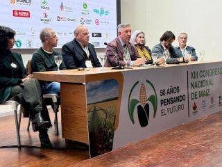 Pergamino mira al maíz del futuro: El Congreso Nacional que reúne a la ciencia y al campo