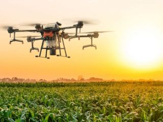 Vivamos INTA Pergamino: Una semana para sumergirse en la vanguardia agropecuaria