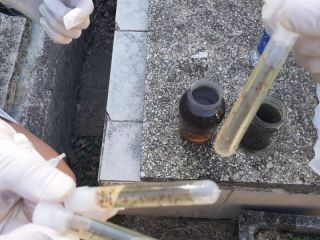 Pergamino: control de larvas de mosquitos y toma de muestras en el Cementerio Municipal