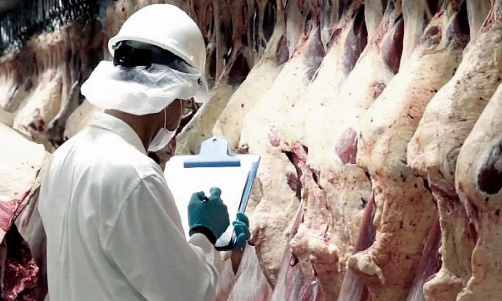 Detectan fraude millonario en el negocio de la carne