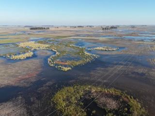El Gobierno declar la emergencia agropecuaria en cuatro distritos bonaerenses afectados por las inundaciones