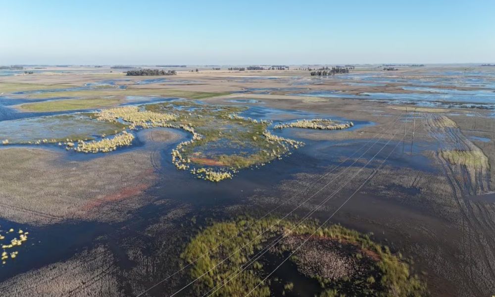 Emergencia agropecuaria en 4 distritos