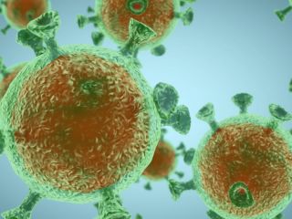 Pandemia sin fin: Detectan en el pa�s variantes del coronavirus del Reino Unido, Manaos y California