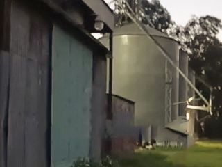 Tragedia en Arbolito: Un joven se arroj desde un silo y muri