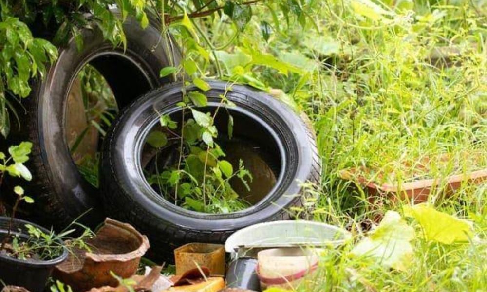 Se confirmó un caso de Chikungunya en la ciudad