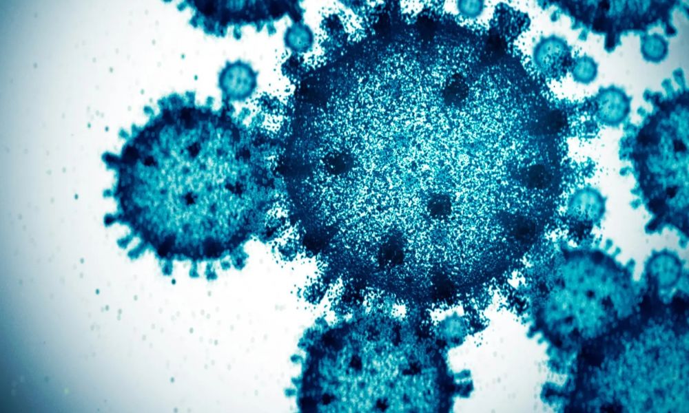 Coronavirus: Síntomas distintivos de las nuevas variantes