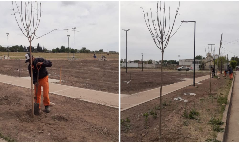Plaza del Barrio Martín Illia Plaza del Barrio Martín Illia