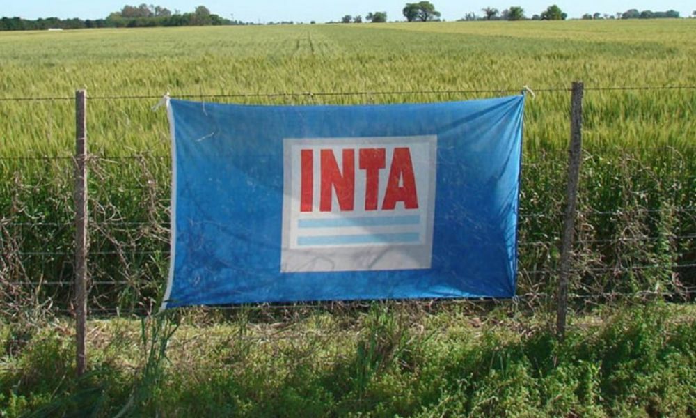Ajustes en el INTA