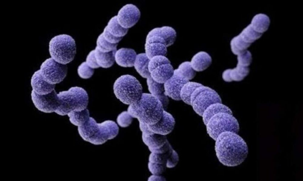Alerta por una bacteria que produce faringitis