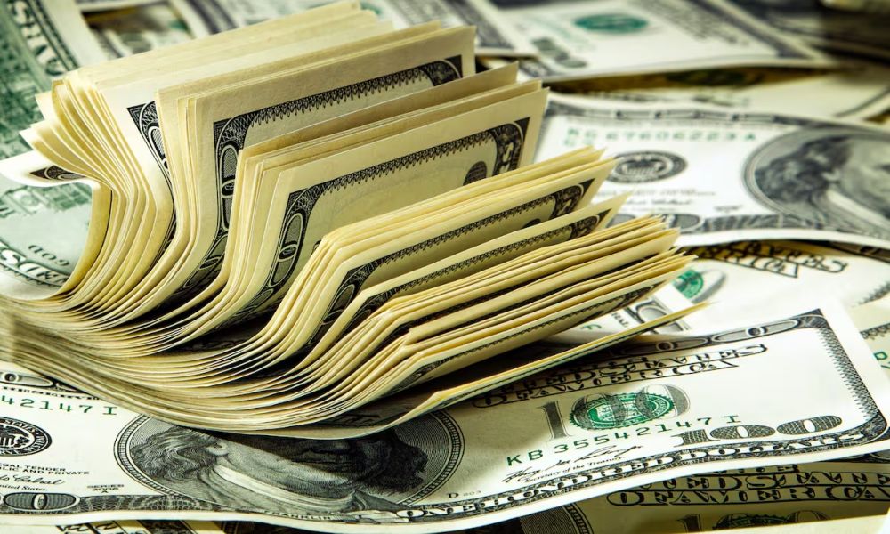 El Gobierno habilita pagos y precios en moneda extranjera