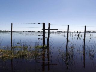 Cules son los 6 distritos bonaerenses que quedaron exentos del Impuesto Inmobiliario Rural?