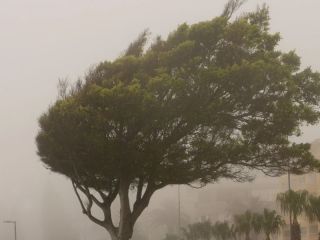 Alerta meteorolgica: Vientos y tormentas azotarn el centro del pas este fin de semana