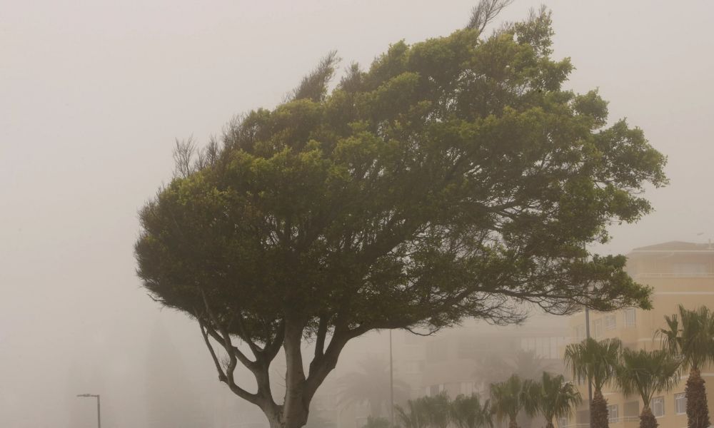 Alerta meteorológica