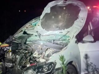 Caballos sueltos en la autopista: un problema recurrente sin solucin efectiva