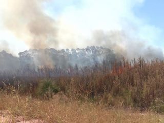 Incendios rurales: Carbap reclama prevención y asistencia urgente para los productores