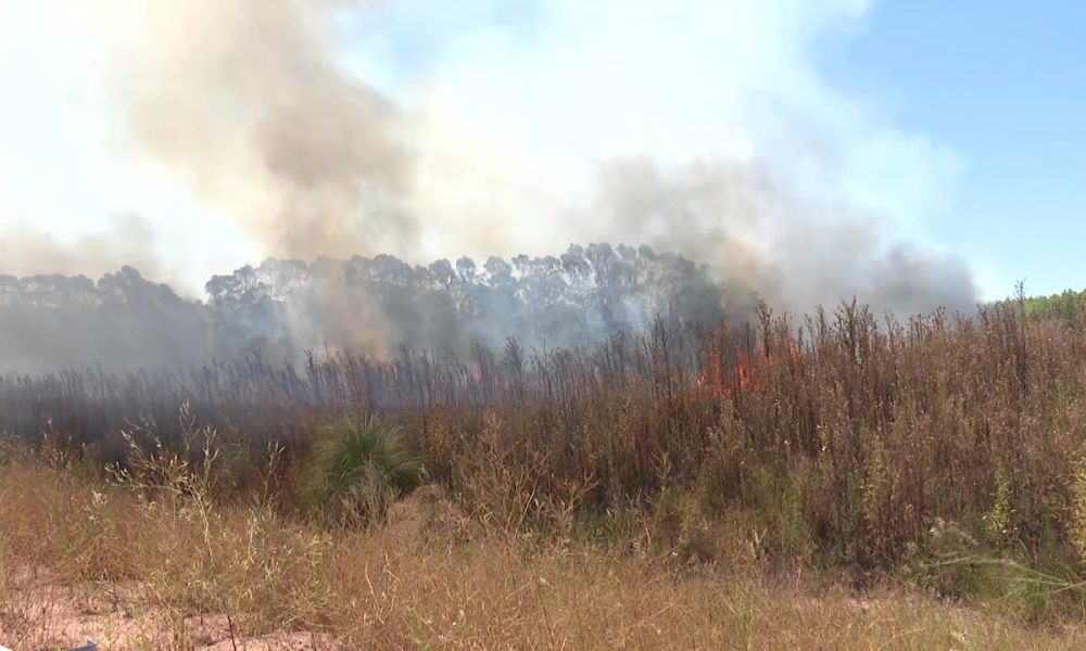 Incendios rurales