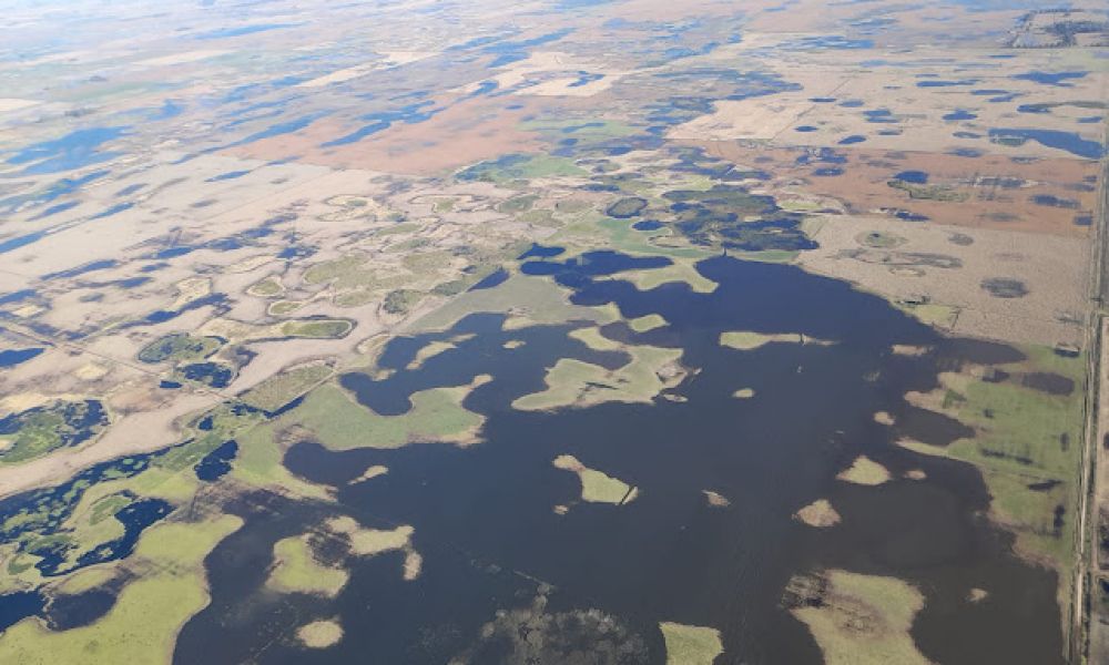 Campos inundados