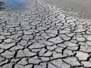 Más de media provincia en emergencia agropecuaria: se sumaron 11 distritos por la sequía
