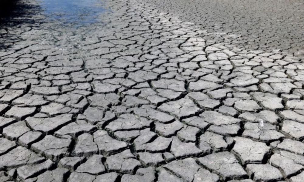 Más de media provincia en emergencia agropecuaria