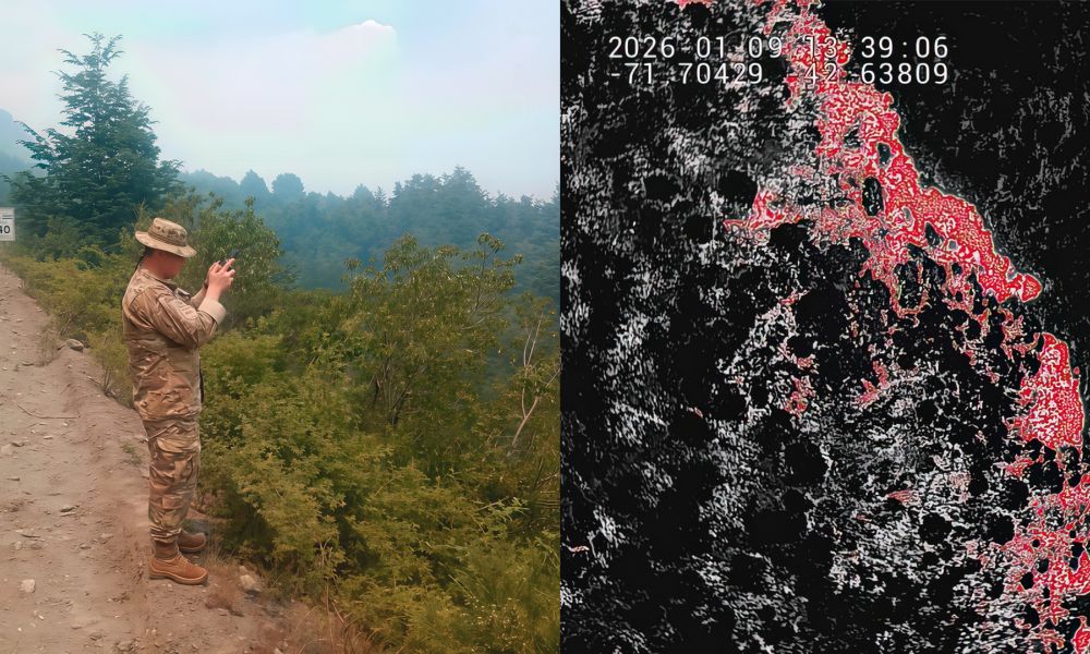 Incendios en la Patagonia