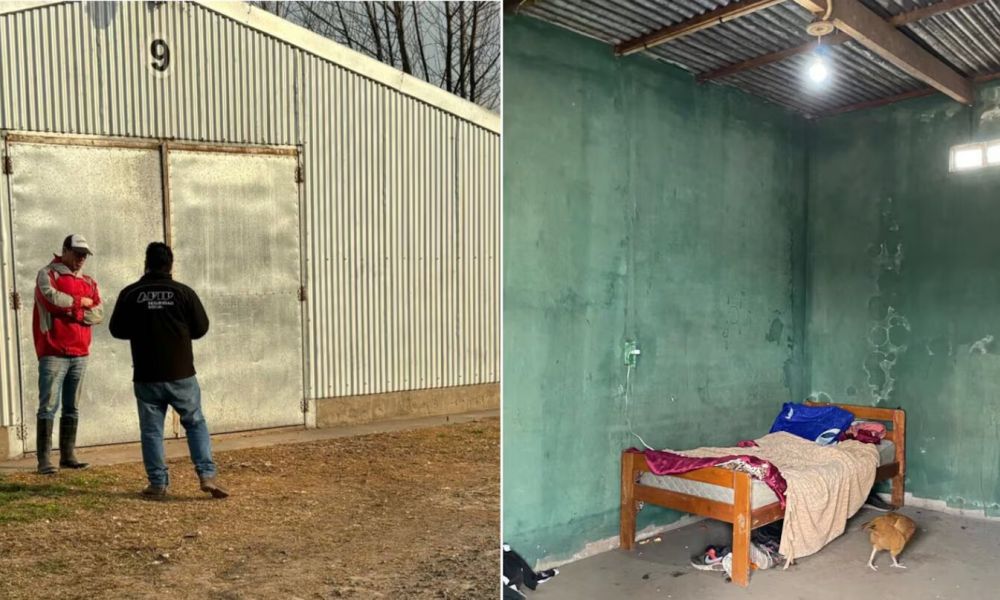 Rescatan a trabajadores explotados en campo avícola Rescatan a trabajadores explotados en campo avícola