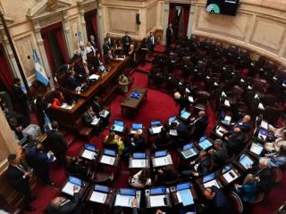 El Senado suspendi las PASO en una sesin marcada por el escndalo del criptogate