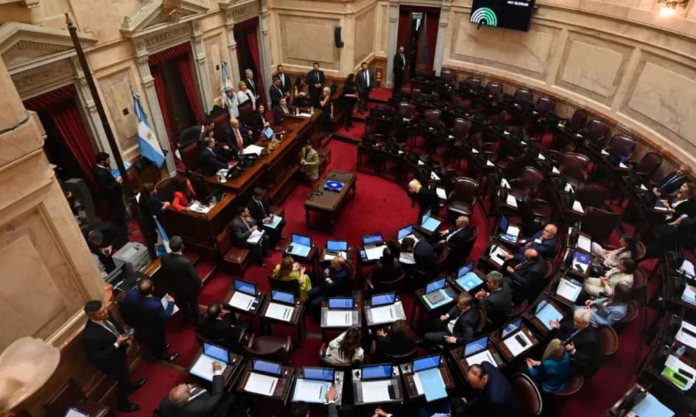 El Senado suspendió las PASO