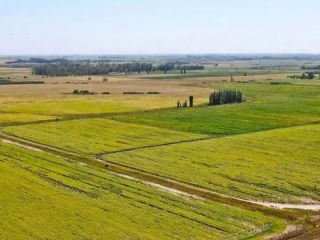 El campo argentino entra en la primavera con los suelos cargados y un niño que gana fuerza
