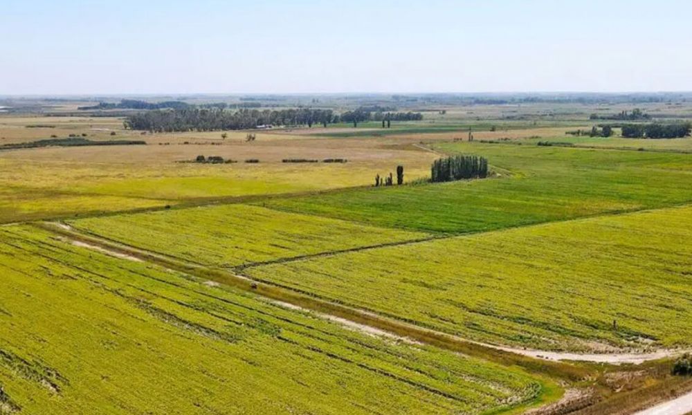 El campo entra en la primavera con los suelos cargados
