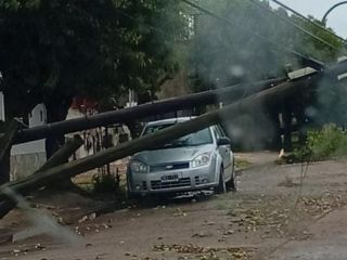Tormenta en el norte bonaerense: Voladuras de techos y cada de rboles en El Socorro