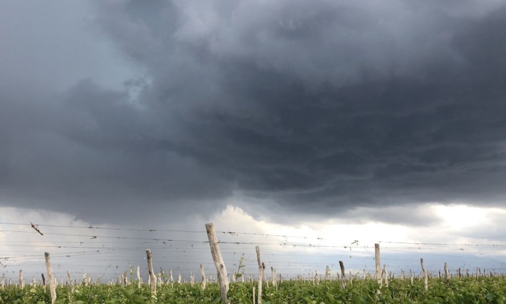 Alerta meteorológico