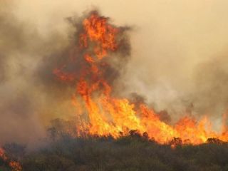 Crdoba en alerta: 23.500 hectreas consumidas por incendios en 2024
