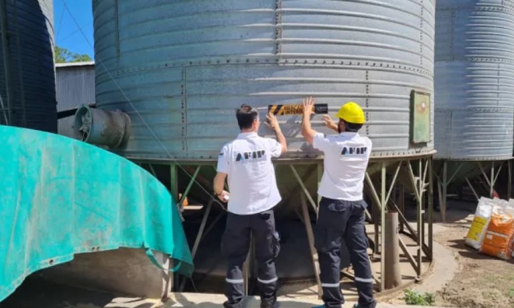 Incautan más de 2.000 toneladas de granos