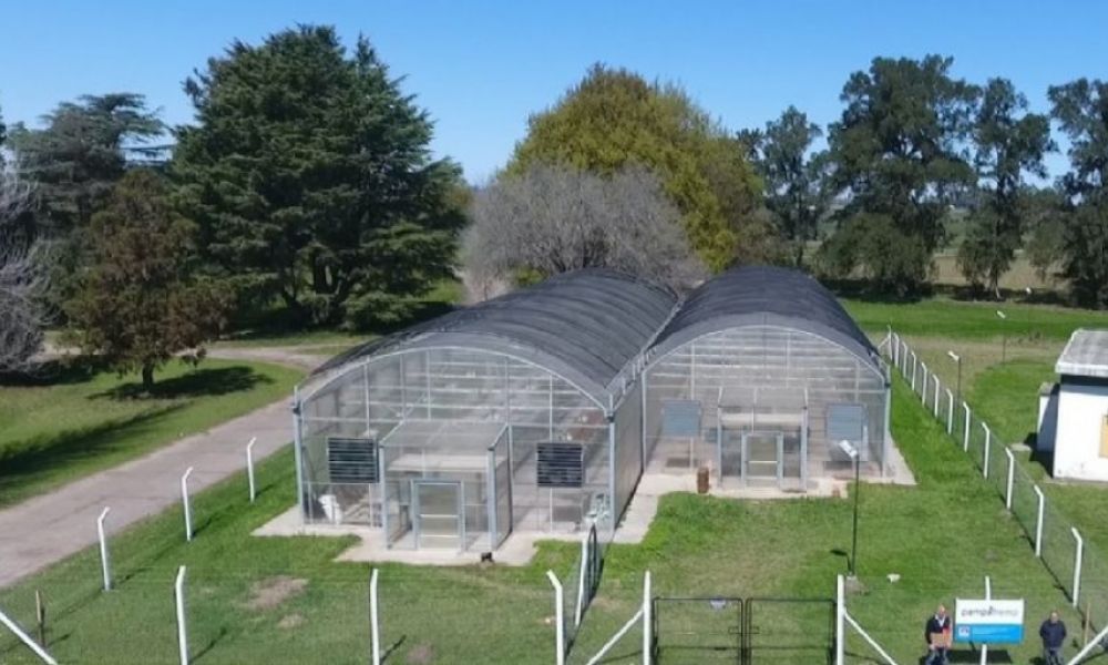 Pampa Hemp junto al INTA