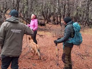 Milagro en la montaa: Hallaron con vida a las turistas perdidas en El Bolsn