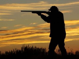 Pergamino endurece controles y prohíbe la caza deportiva para proteger la fauna silvestre