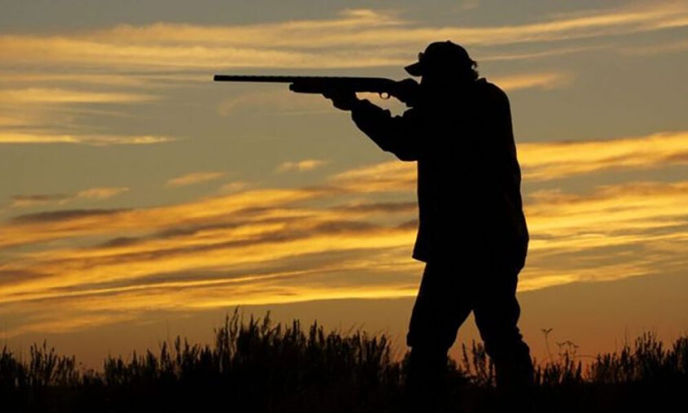 Prohíben la caza deportiva para proteger la fauna silvestre