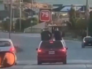 Piden suspender la licencia de conductor que llev a dos personas sobre el techo de su auto
