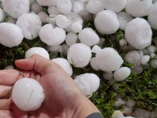 Furia en el cielo: Granizo gigante arras Mar del Plata