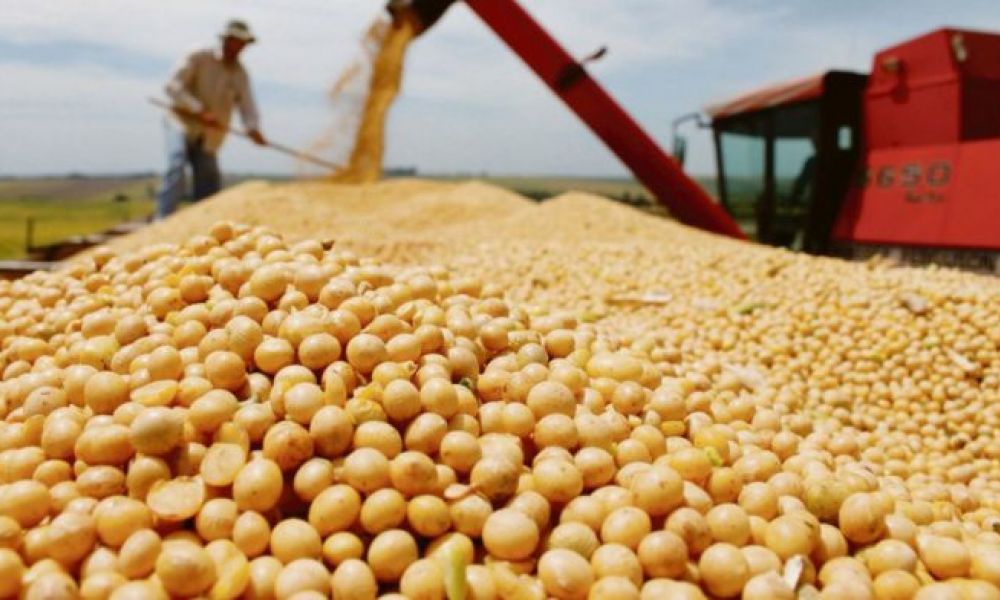 La soja supera los USD 650 la tonelada