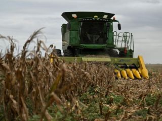 Una vez ms, el campo le pone el pecho a la crisis: Rcord de liquidacin en abril