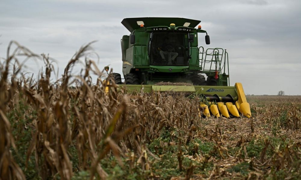 Una vez más, el campo le pone el pecho a la crisis