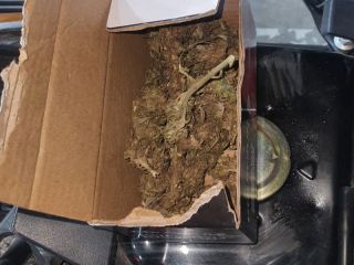 Control de tránsito terminó en operativo antidroga: Dos detenidos con marihuana