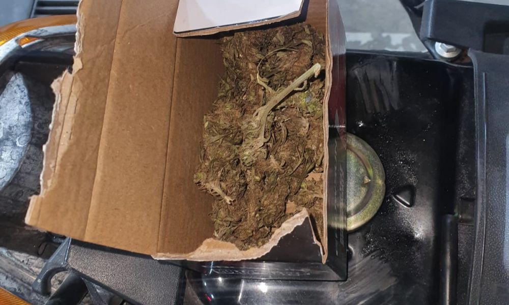 Control de tránsito terminó en operativo antidroga